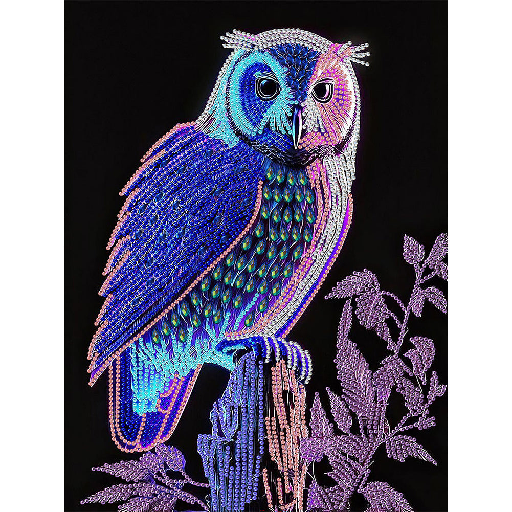 Owl 30*40CM(Canvas) Partial Special Shaped Drill Diamond Painting