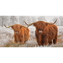Load image into Gallery viewer, Highland Yak 80*40CM(Picture) Full Square Drill Diamond Painting
