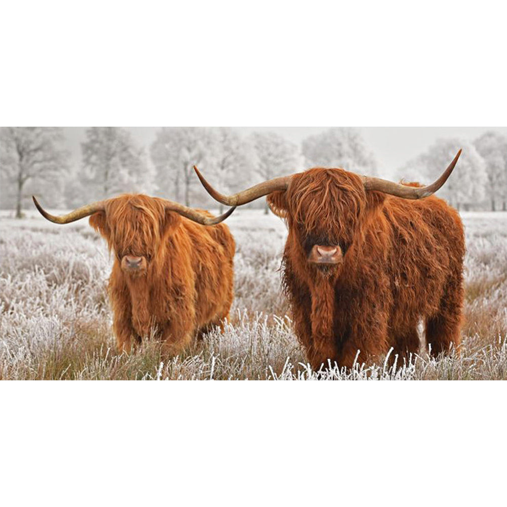 Highland Yak 80*40CM(Picture) Full Square Drill Diamond Painting