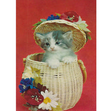 Load image into Gallery viewer, Cat In A Backpack 30*40CM(Canvas) Full Round Drill Diamond Painting
