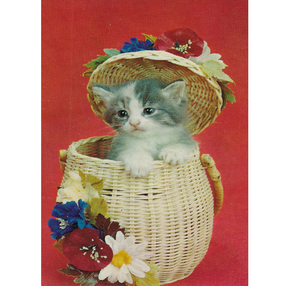 Cat In A Backpack 30*40CM(Canvas) Full Round Drill Diamond Painting