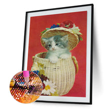 Load image into Gallery viewer, Cat In A Backpack 30*40CM(Canvas) Full Round Drill Diamond Painting
