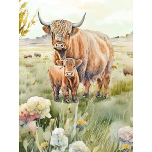 Highland Cattle 30*40CM(Canvas) Full Round Drill Diamond Painting