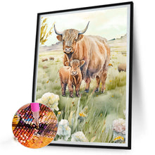 Load image into Gallery viewer, Highland Cattle 30*40CM(Canvas) Full Round Drill Diamond Painting
