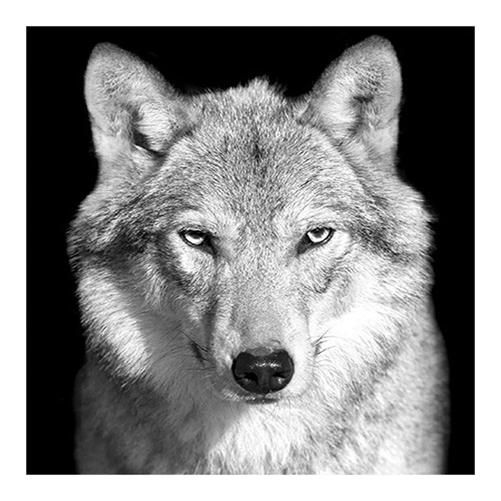 White Wolf 45*45CM Full Round Drill Diamond Painting