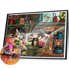 Load image into Gallery viewer, Cat Sleeping Lazy 50*40CM(Canvas) Full Round Drill Diamond Painting
