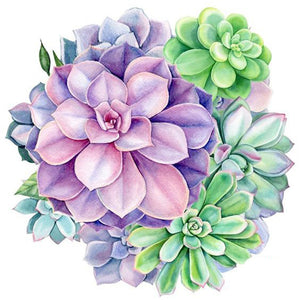Yishu - Succulents - 50*50CM 11CT 3 Stamped Cross Stitch