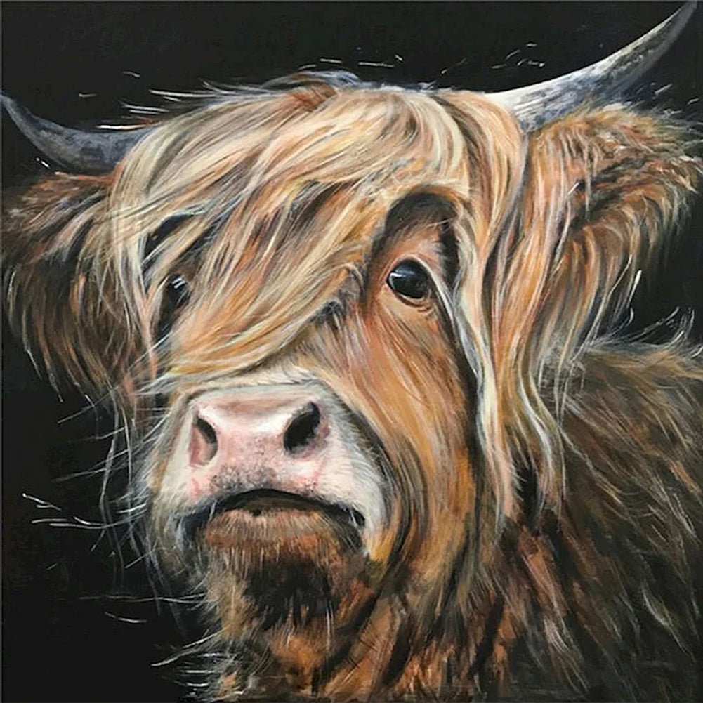 Highland Yak 45*45CM(Canvas) Full Round Drill Diamond Painting