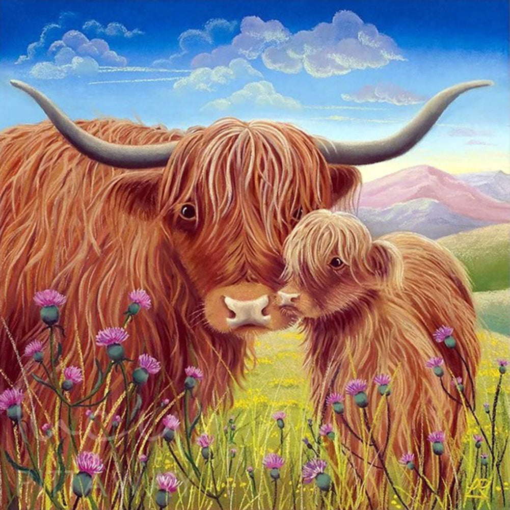 Highland Yak 50*50CM(Picture) Full Square Drill Diamond Painting