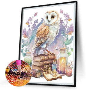 Owl 30*40CM(Canvas) Full Round Drill Diamond Painting