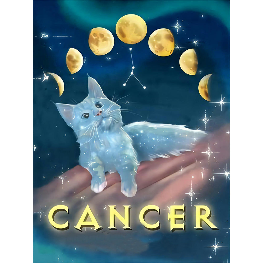 Pisces Cat 30*40CM(Canvas) Full Round Drill Diamond Painting
