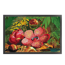 Load image into Gallery viewer, Joy Sunday - Rafflesia - 69*47CM 14CT 2 Stamped Cross Stitch
