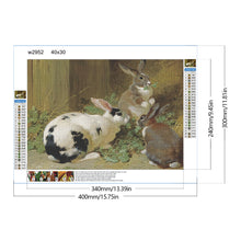 Load image into Gallery viewer, Rabbit&#39;S Nest 40*30CM(Canvas) Full Round Drill Diamond Painting
