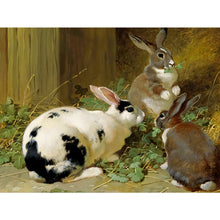 Load image into Gallery viewer, Rabbit&#39;S Nest 40*30CM(Canvas) Full Round Drill Diamond Painting
