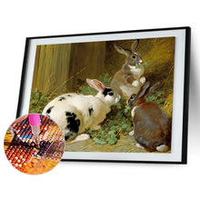 Load image into Gallery viewer, Rabbit&#39;S Nest 40*30CM(Canvas) Full Round Drill Diamond Painting

