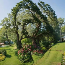 Load image into Gallery viewer, Jesus 35*35CM(Canvas) Full Round Drill Diamond Painting
