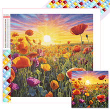 Load image into Gallery viewer, Poppy Field 40*40CM(Picture) Full Square Drill Diamond Painting
