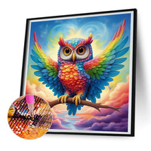 Load image into Gallery viewer, Cute Multi-Colored Owls 30*30CM(Canvas) Full Round Drill Diamond Painting
