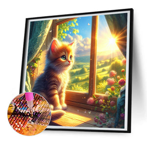 Glowing Cat By The Window 30*30CM(Canvas) Full Round Drill Diamond Painting