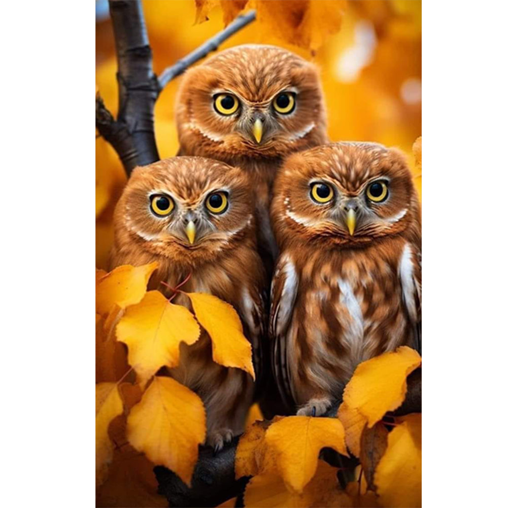 Three Owls 40*60CM(Canvas) Full Round Drill Diamond Painting