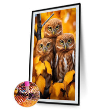 Load image into Gallery viewer, Three Owls 40*60CM(Canvas) Full Round Drill Diamond Painting
