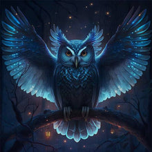 Load image into Gallery viewer, Huancan - Owl With Spread Wings - 40*40CM 11CT 3 Stamped Cross Stitch
