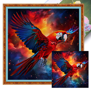 Huancan - Macaw - 40*40CM 11CT 3 Stamped Cross Stitch