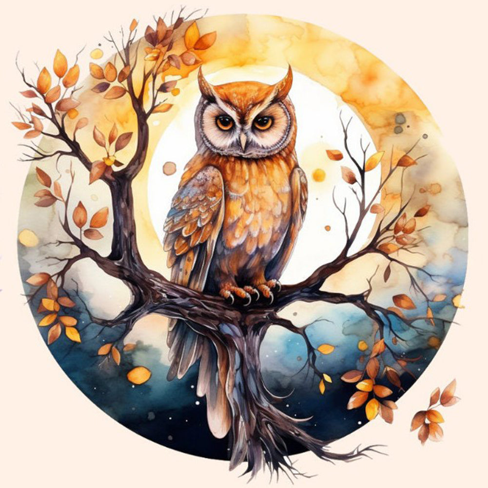 Owl 40*40CM(Canvas) Full Round Drill Diamond Painting