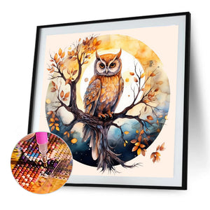 Owl 40*40CM(Canvas) Full Round Drill Diamond Painting