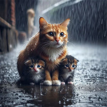 Load image into Gallery viewer, Rainy Kitten 40*40CM(Canvas) Full Round Drill Diamond Painting
