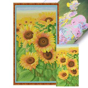 Spring Brand - Sunflowers In Bloom - 50*90CM 11CT 3 Stamped Cross Stitch