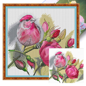 Spring Brand - Rose And Bird - 45*45CM 11CT 4 Stamped Cross Stitch Egyptian cotton