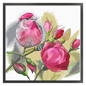 Spring Brand - Rose And Bird - 45*45CM 11CT 4 Stamped Cross Stitch Egyptian cotton