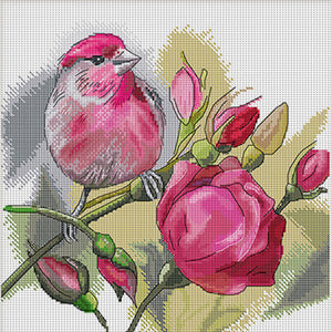 Spring Brand - Rose And Bird - 45*45CM 11CT 4 Stamped Cross Stitch Egyptian cotton
