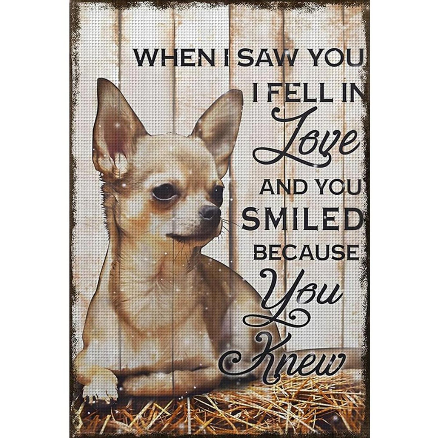 Little Dog - Full 11CT Stamped Cross Stitch 40x60CM - Huacan