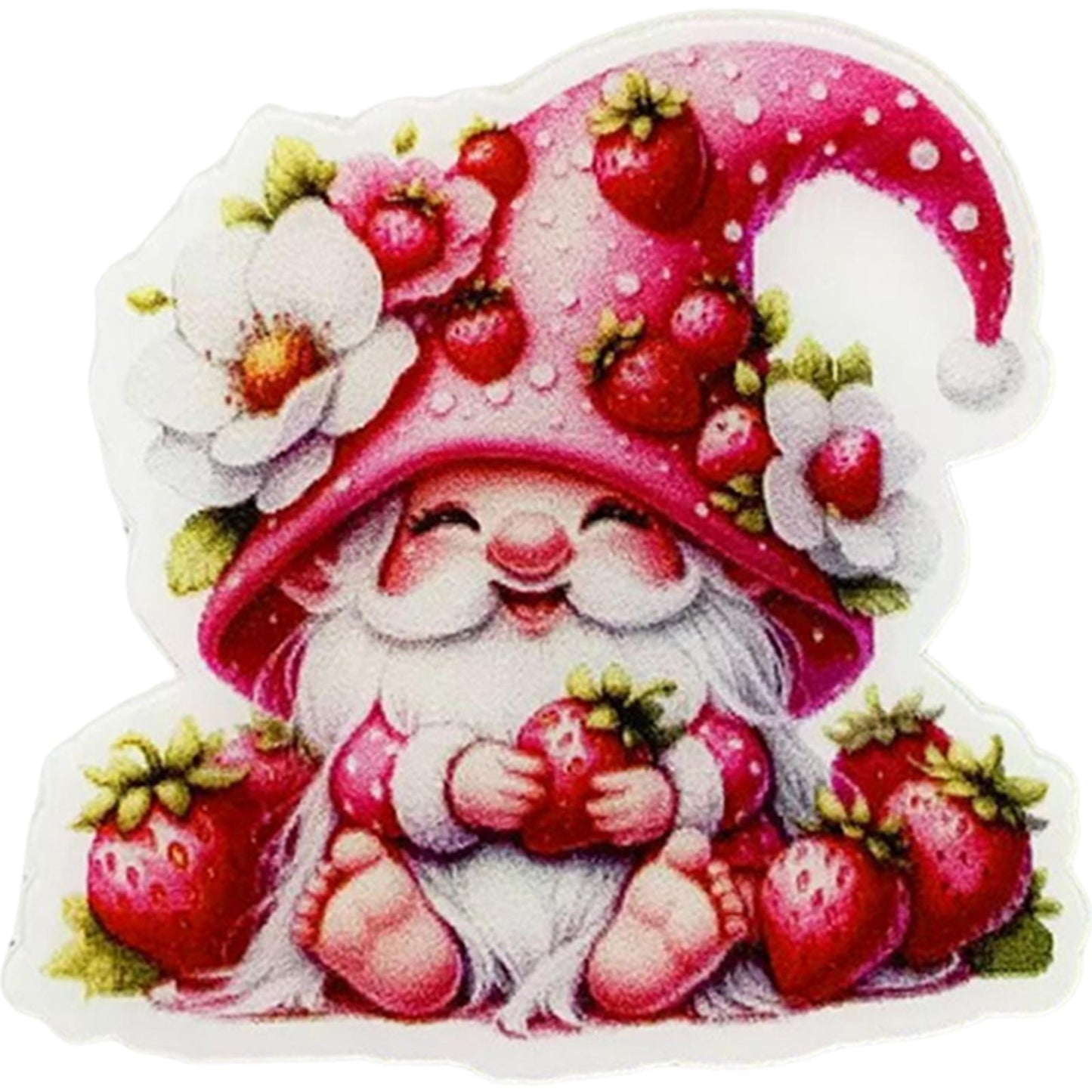 Acrylic Cross Stitch Needle Minder Dwarf Strawberry Aesthetic Fridge Magnets