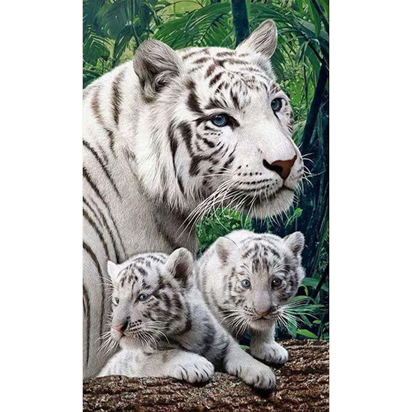 Mother Tiger & Cub - Full  9CT Stamped Cross Stitch - Bead Embroidery 35x58CM/13.78x22.83in