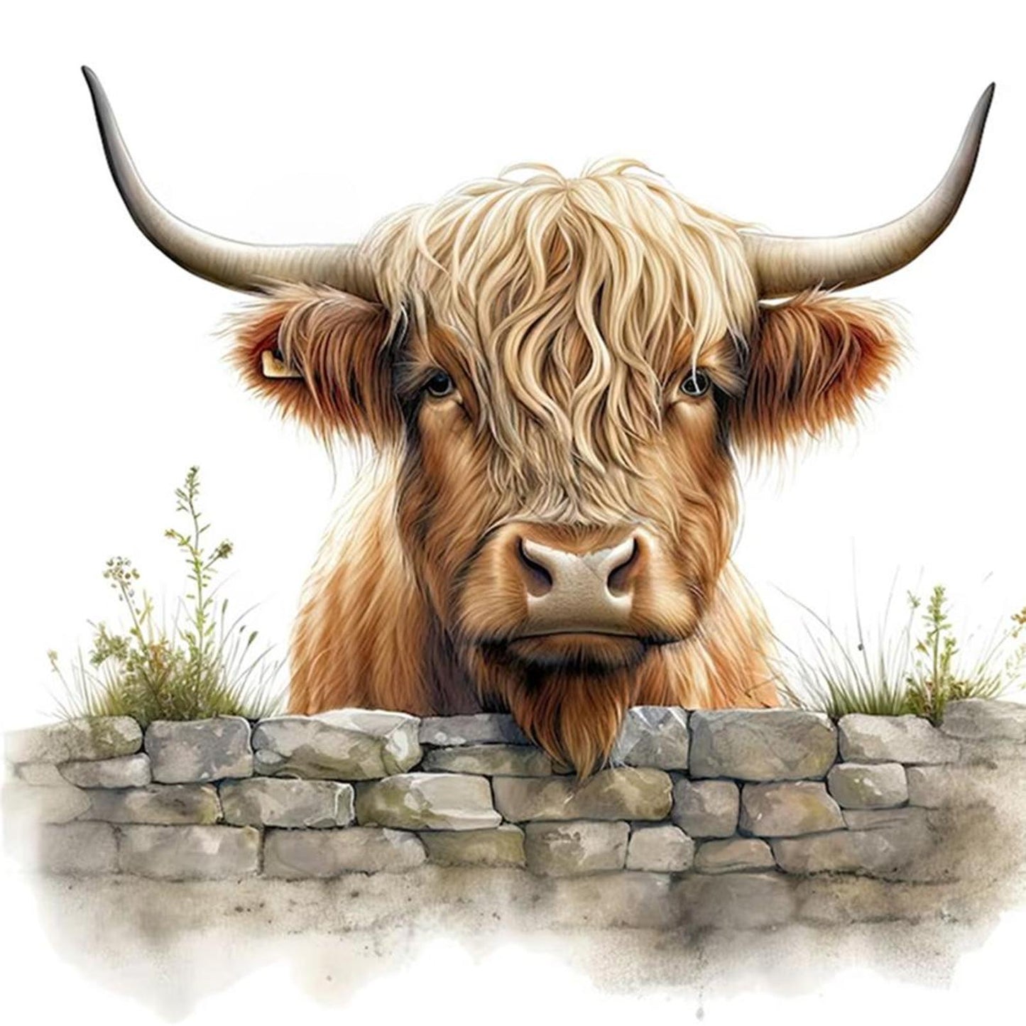 Highland Yak - Full 11CT Stamped Cross Stitch 40x40CM - Huacan