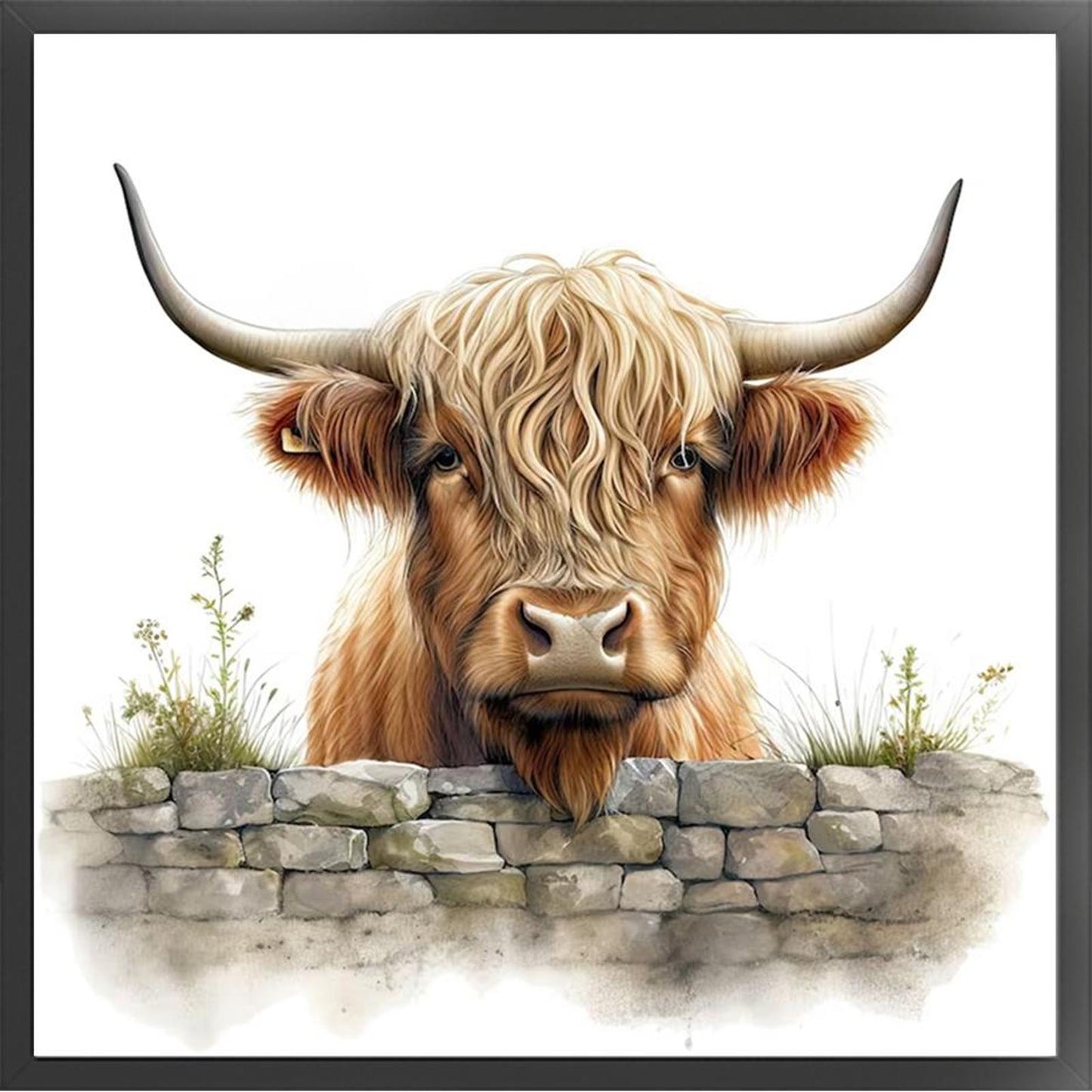 Highland Yak - Full 11CT Stamped Cross Stitch 40x40CM - Huacan