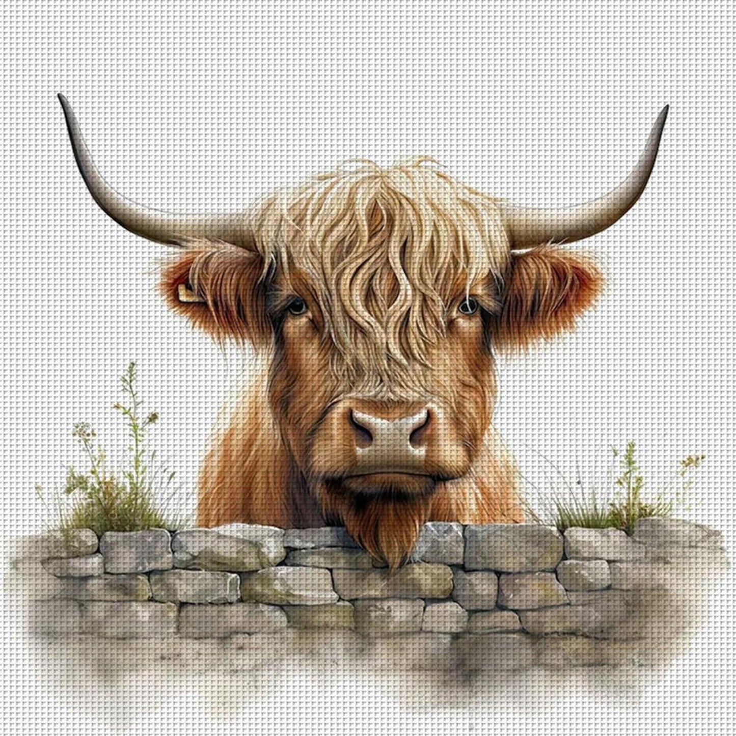 Highland Yak - Full 11CT Stamped Cross Stitch 40x40CM - Huacan