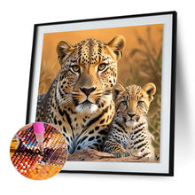 Load image into Gallery viewer, Lion In The Prairie 30*30CM(Canvas) Full Round Drill Diamond Painting
