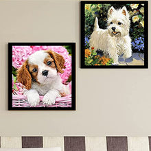 Load image into Gallery viewer, Magnetic Tabletop Photo Frame Self Adhesive Simple for Art Crafts (4)
