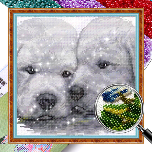 The Best Companion - Partial  9CT Stamped Cross Stitch - Bead Embroidery 31x31CM/12.20x12.20in