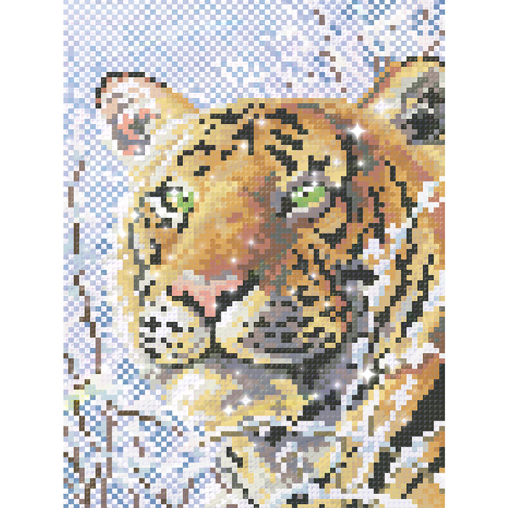 Looking Back - Partial  9CT Stamped Cross Stitch - Bead Embroidery 20x28CM/7.87x11.02in