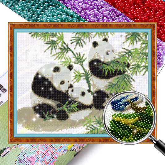 Panda - Partial  9CT Stamped Cross Stitch - Bead Embroidery 52x40CM/20.47x15.75in