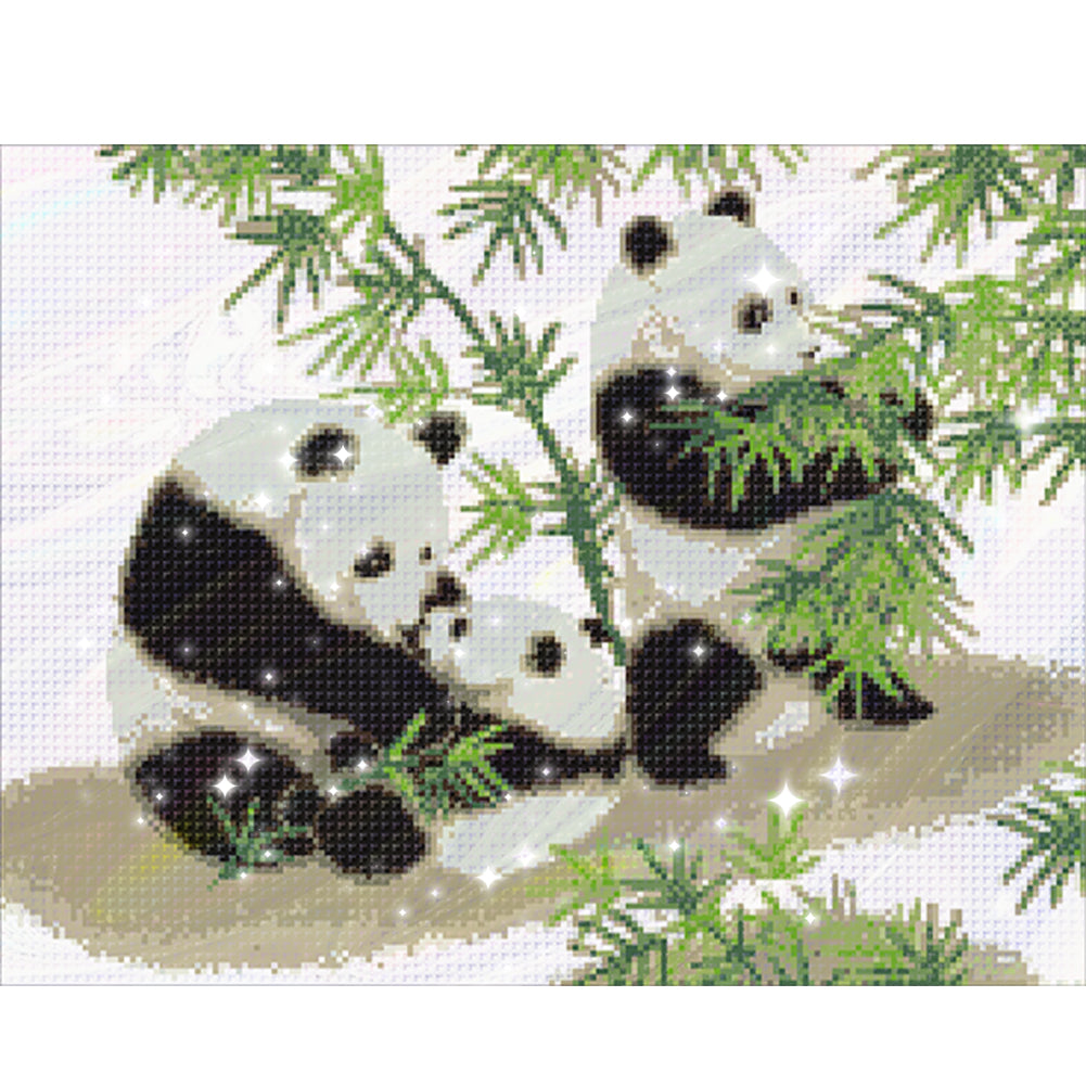 Panda - Partial  9CT Stamped Cross Stitch - Bead Embroidery 52x40CM/20.47x15.75in
