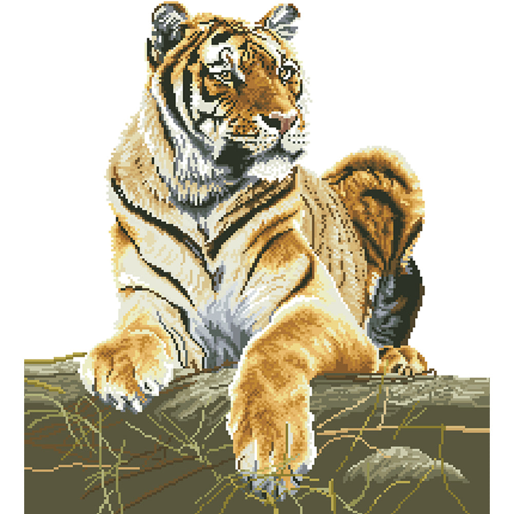 Tiger - Partial  9CT Stamped Cross Stitch - Bead Embroidery 57x64CM/22.44x25.20in