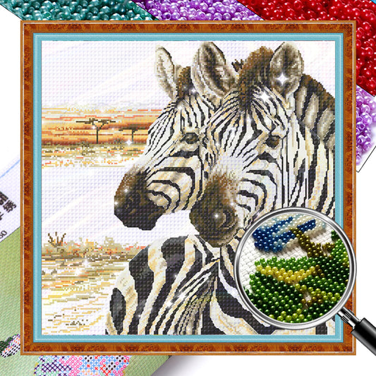 Zebra - Partial  9CT Stamped Cross Stitch - Bead Embroidery 62x62CM/24.41x24.41in