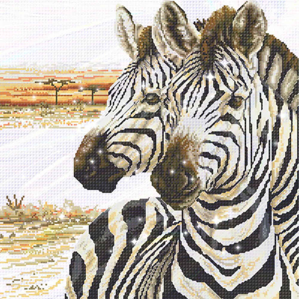 Zebra - Partial  9CT Stamped Cross Stitch - Bead Embroidery 62x62CM/24.41x24.41in