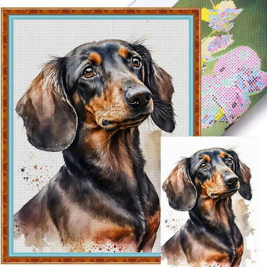 Bernese Mountain Dog - Full 11CT Stamped Cross Stitch 40x53CM - Diy